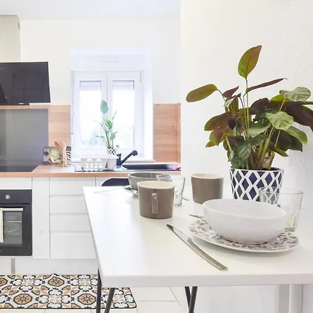 Evasion Mulhousienne Appartement Mulhouse Buitenkant foto